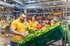 Pressebild_GLOBUS nimmt am Veganuary 2025 teil_Quelle GLOBUS Markthallen