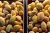 VN mangoes