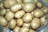 Promotional switch drives slowdown in potato movement