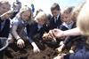 Potato Council digging competition