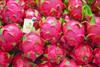 Hazel Tech dragon fruit