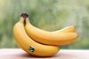 The collapse of the pound could hit under-pressure banana farmers hard