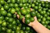 Strong time for pricey limes