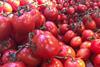 Tomatoes