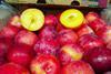 Capespan African Delight plums