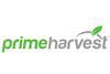 Prime Harvest USA logo Freshmax Group