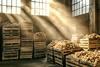 Generic potatoes in storage with light coming through Adobe Stock