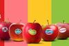 180753_Fruitmasters_hardfruit__EmailBanner_01_Telers