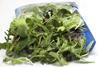 Bagged salad open mixed leafy greens Adobe Stock