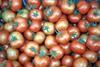 Scientists up antioxidants with salt