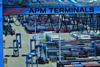 APM Terminals Port of Rotterdam