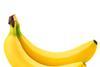 Philippinen: Neue Bananen-Varietäten als Schutz vor der Panamakrankheit