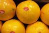 Florida_Grapefruit_Citrus__1__06.JPG