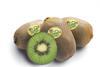Summerkiwi Chile Oppenheimer