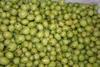Gooseberries nobody's fool