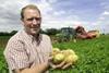 Farm manager Stephen Priestley with the mid-July Maris Piper crop