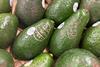 Costa laser etched avocados Easter promotion
