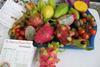 Dragon fruit theatre has done the business for BFS