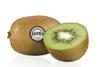 HillFresh: Maßgeschneiderte Konzepte rund um die Kiwi-Frucht