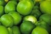 Persian limes