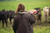 The study revealed an absence of financial solutions and advice for farmers