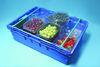 Infia UK launches soft-fruit packaging