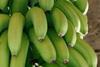 Banana supplies run short