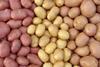 Potatoes