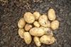 Views sought on potato levy rises