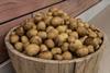 Ayrshire new potatoes
