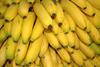 Rewe: 700.000 Euro für "Bananenfonds"