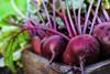 The breakthrough in market access is part of the NFU’s ambition to grow UK agri-food exports by 30 per cent to £33 billion by 2030
