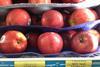 Washington apples