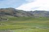 NZ cherry production landscape