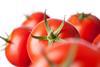 Tomaten - AdobeStock