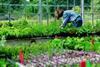 Comprehensive labour study for UK industry