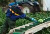 French farmers