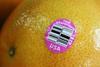 Florida pink grapefruit