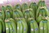 Peruvian organic bananas