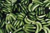 Ecuador to set up state banana exporter