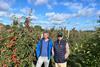 BelOrta orchard
