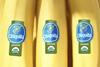 Chiquita organic bananas