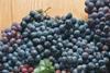 California: grape season well underway
