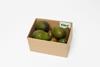 Fresh Inset Vidre+ avocado box