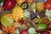 Exotics under threat in zero-carbon scenario