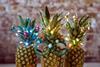 Waitrose Pineapple Christmas Trees Photo Credit Matthew Stansfield 1