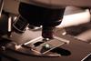 gene-editing-microscope
