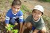 Del Monte tree planting Costa Rica