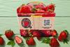 BE Delhaize cardboard strawberry punnets