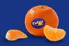Cuties clementine